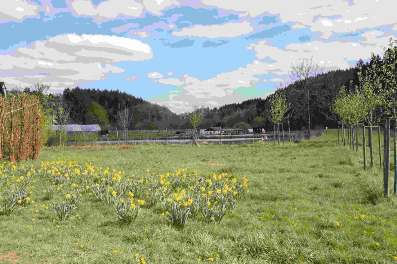 Ferienhaus Salmtal Himmerod Großlittgen Eksteriør bilde