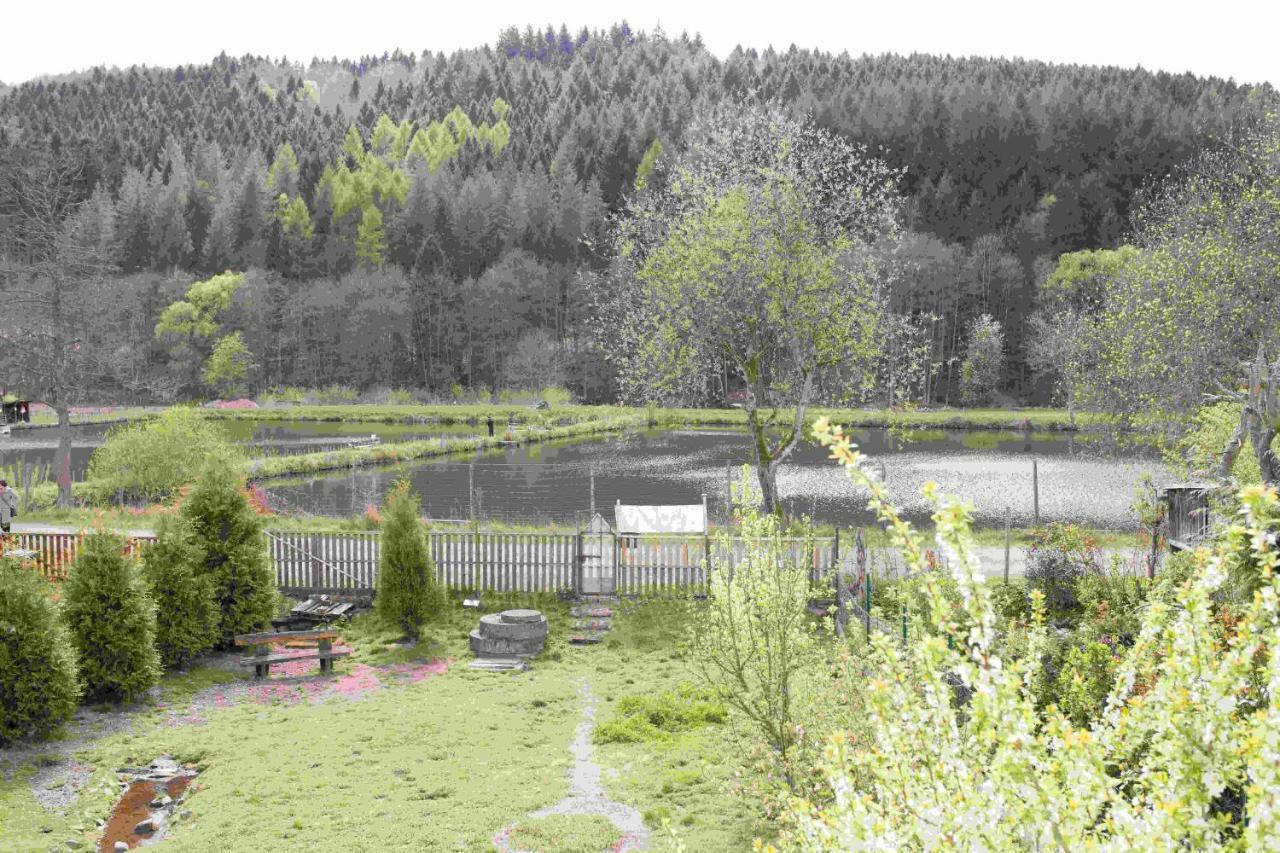 Ferienhaus Salmtal Himmerod Großlittgen Eksteriør bilde