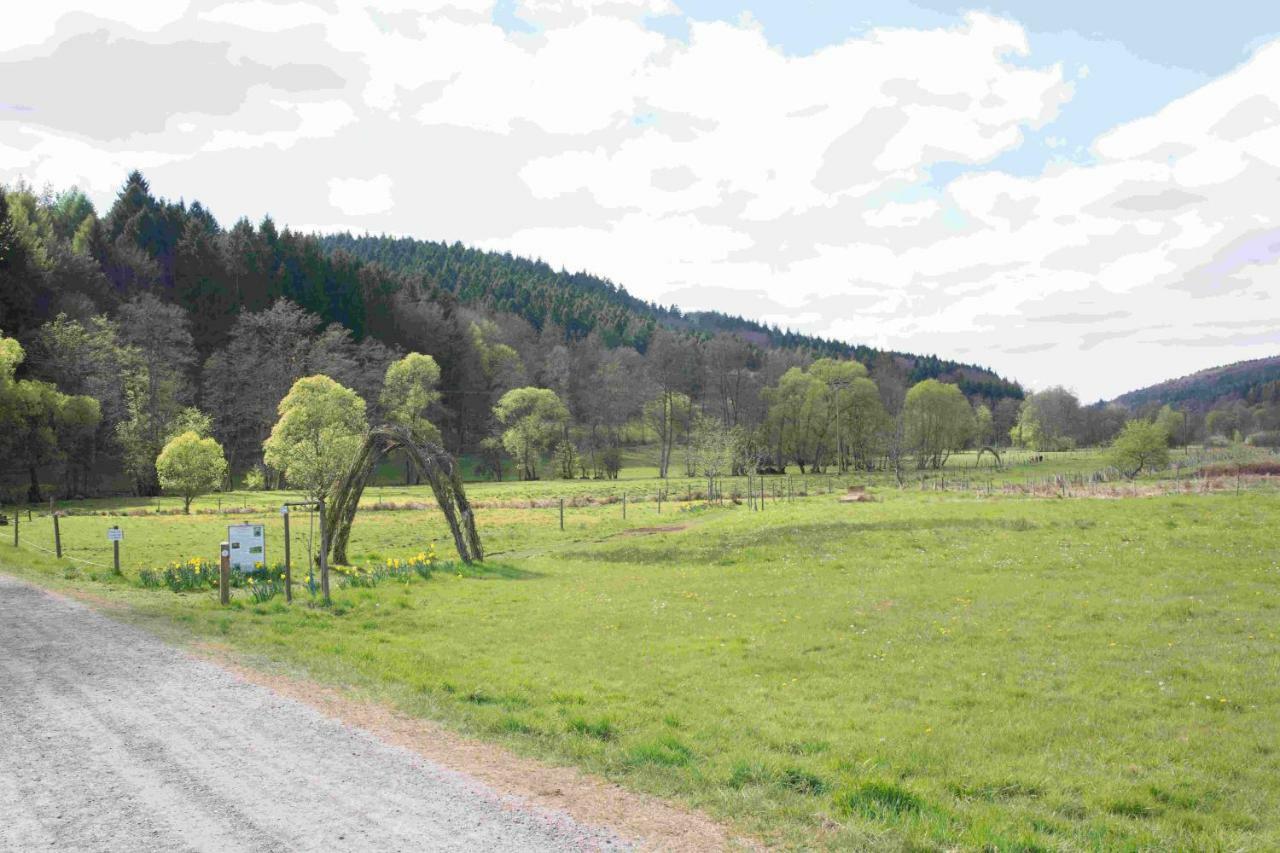 Ferienhaus Salmtal Himmerod Großlittgen Eksteriør bilde