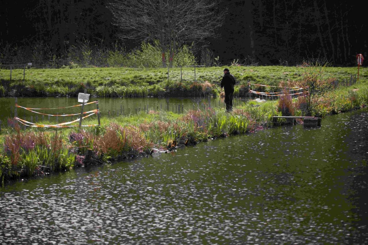 Ferienhaus Salmtal Himmerod Großlittgen Eksteriør bilde